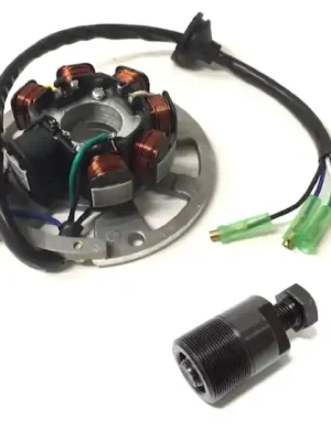 Online Kaufen Lichtmaschine mit Polradabzieher für Benelli 49X X49 Keeway F-Act RY6 RY8