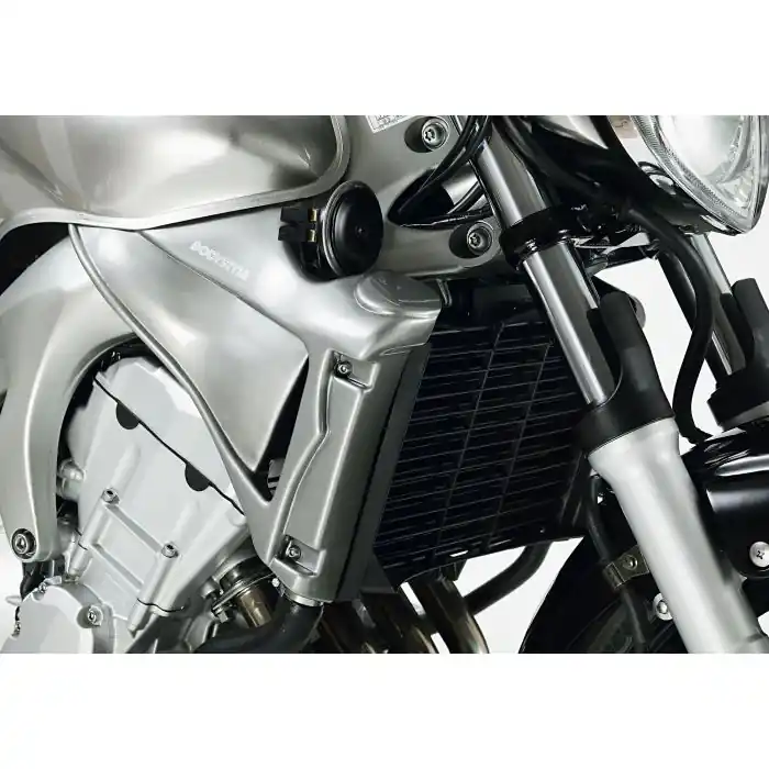 Beliebt BODYSTYLE Sportsline Kühlerseitenverkleidung unlackiert passt für YAMAHA FZ6(04-06)/FZ6(07-08)/FZ6 S2(09-10)