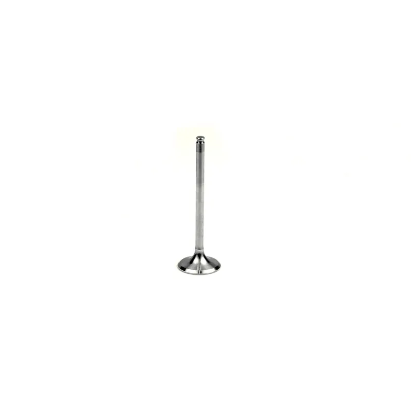 ATHENA Steel Exhaust Valve for KTM / HVA / GG Neu Im Sortiment
