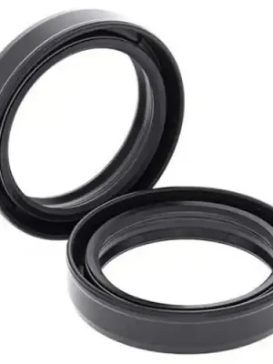 Sonderaktion Simmerringsatz Gabel 55-116